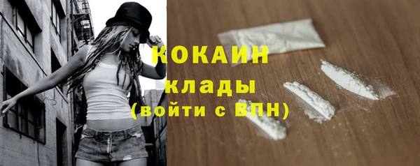 соль ск Вяземский