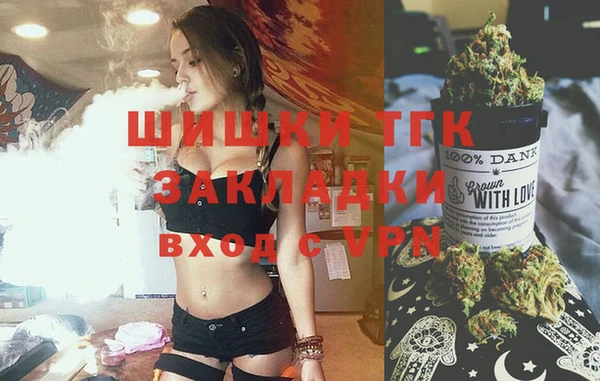 гидропоника Рославль