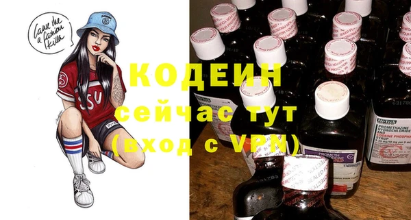 соль ск Вяземский