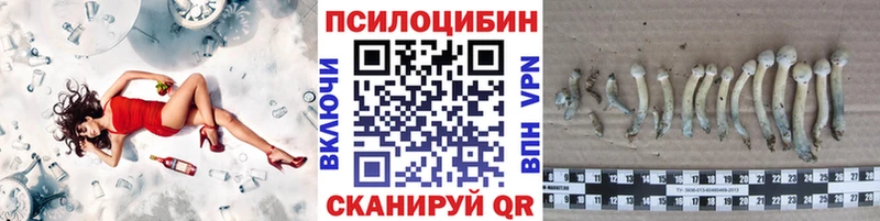 shop состав  Железногорск-Илимский  Галлюциногенные грибы Cubensis 