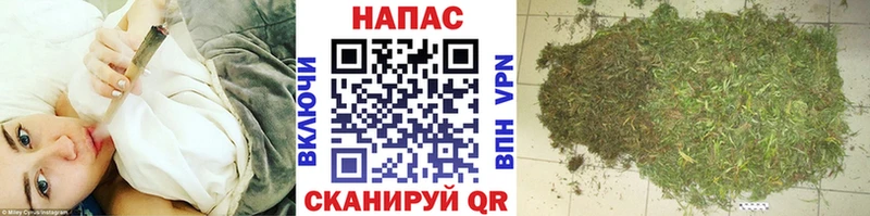 Конопля Amnesia где купить наркоту даркнет какой сайт Железногорск-Илимский